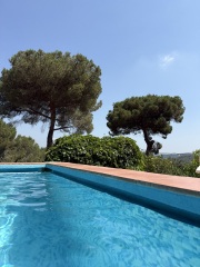 Year round Nigel Slater discussion thread Part 2