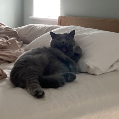 Thread 18 - TalkLair: "That's no moon. It's a space station!"