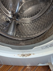 Can this disgusting washing machine be saved?