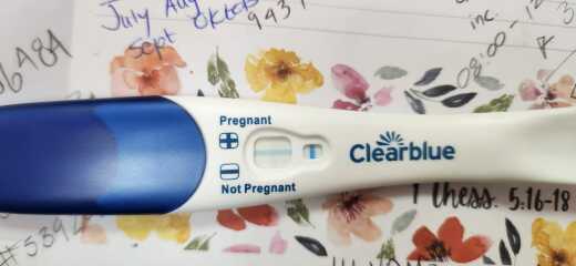Pregnancy Line Progression