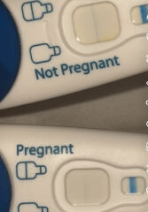 Evap line or pregnant?