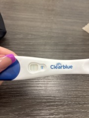 Clear blue test. Evap line or positive