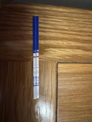 DPO