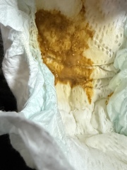 Mucusy Poo - TMI PIC