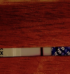 In the dreaded 2 week wait