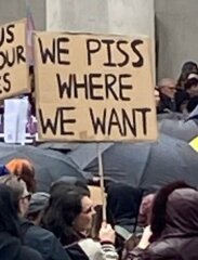 arrested at Pride for wearing a sign saying Trans=mental illness