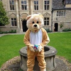 Do Teddies have kids who struggle academically?