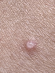 Does anyone know what this could be?