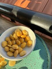 Year round Nigel Slater discussion thread Part 2