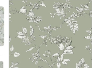 Do you have a green living room?