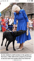 Royal Style: High Summer, The Chic Continues