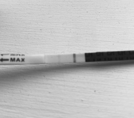 WTAF! I’m not imagining this am I!?