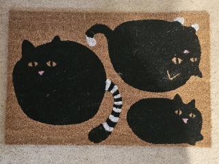 The One after the One where the Excellent Cats posed for a calendar