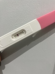 Is this an evaporation or positive BFP?