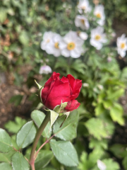 Show Us Your Photos