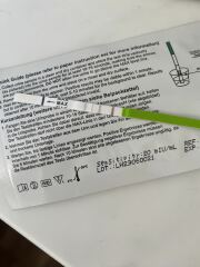 Ttc are these ovulation tests positive