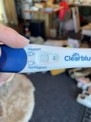 Am I pregnant- line ?