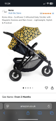 Help deciding on pushchairs