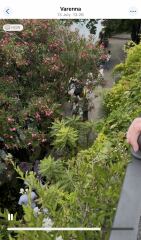 'Selfie tourism' - AIBU?