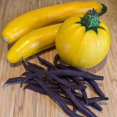 The Vegetable Patch 2024/2025