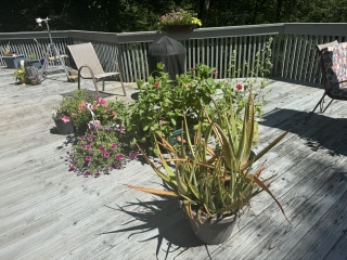 Come and tell us your dull and unexciting news 34: Calmly through the day