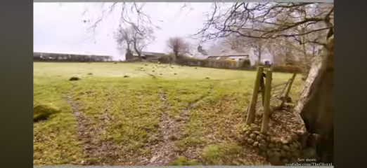 Thread 7: To feel disappointed after reading this in The Observer about the author and her husband from The Salt Path book and film?