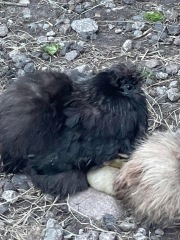 January 2025 Starters - Thread 10 - Onward & Downward Losers!