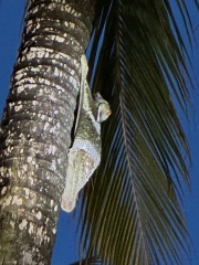 Thread 18 - TalkLair: "That's no moon. It's a space station!"