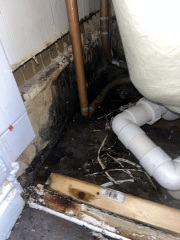 Black mould in kids bedroom