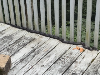 Come and tell us your dull and unexciting news 34: Calmly through the day