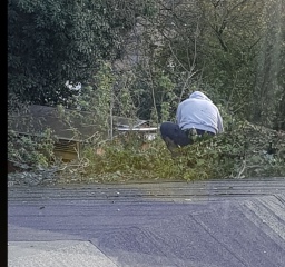 Neighbours causing such a fuss about ivy! Really?