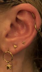 Show me your "curated ears"