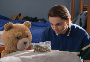 Do Teddies have kids who struggle academically?