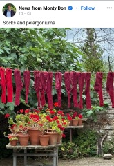 Year round Nigel Slater discussion thread Part 2