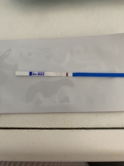 Day 38 of 32/33 day cycle am I pregnant