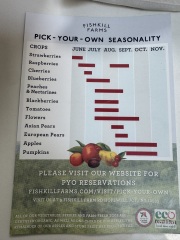 Come and tell us your dull and unexciting news 34: Calmly through the day