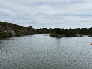 Year round Nigel Slater discussion thread Part 2