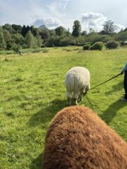 Lake District with teenagers