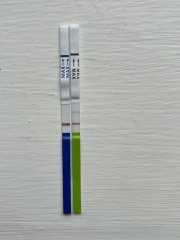 Faint line catching my eye?