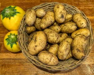 The Vegetable Patch 2024/2025