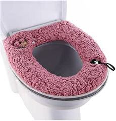 Friend should have told me her toilet seat was broken?