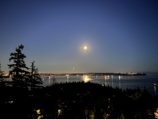 Come and tell us your dull and unexciting news 34: Calmly through the day