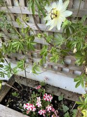 Year round Nigel Slater discussion thread Part 2