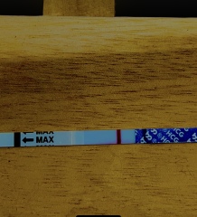 In the dreaded 2 week wait