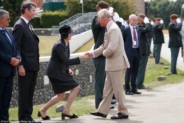 Opinions may Vary . A genuine question about why Meghan and Harry seem to attract such differing views.