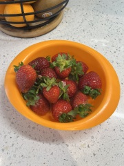 Why aren’t my strawberries flowering?