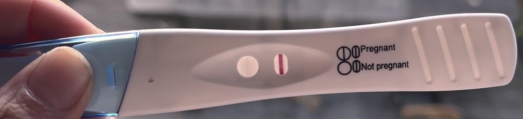 16dpo and a chemical last cycle