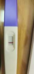 Pregnancy Line Progression