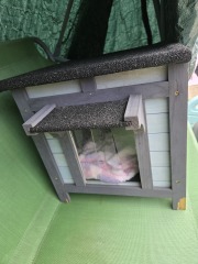 Cat shelter for patio?