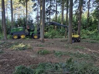 The Bluestocking - Invoking Split Pea Annexe B